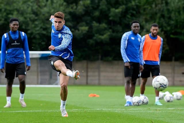 Sheffield Wednesday winger Theo Corbeanu is hoping to continue his progression with the first team at Hillsborough.
