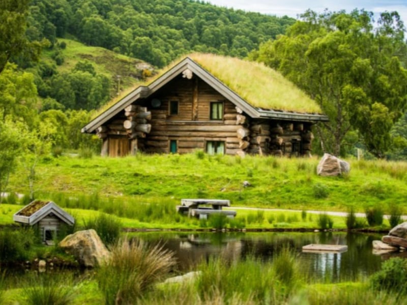Wildlife ponds are designed to be home to a wide variety of critters.