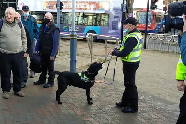 Rosco meets with members of the public outside Castle Square tram stop.
