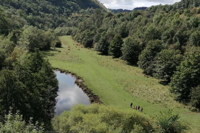 Monsal Trail contains plenty of greenery - it's ideal for lovers of nature. It spans 13.6 kilometres though, so make sure you're up to the challenge before attempting it.