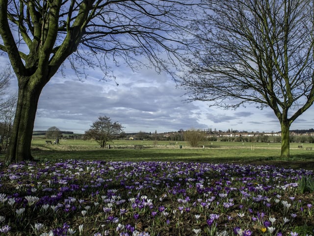 Within the site are nature walks, a fishing pool, pond dipping, wildflower areas, woodland copse, grassland open space and a children's play area.