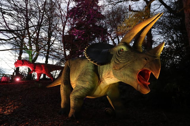 One of the illuminated dinosaurs at Blair Drummond Safari Park