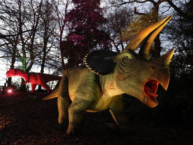 One of the illuminated dinosaurs at Blair Drummond Safari Park