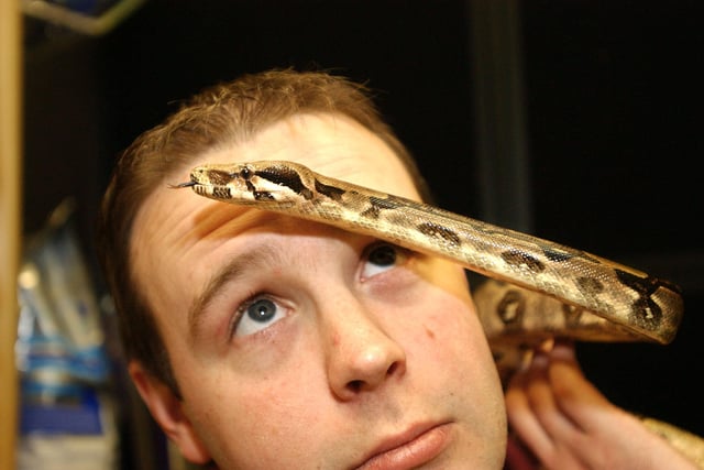 Simon Jarvis from the Proteus Reptile Trust brought boa constrictor George along in 2005 when he gave advice on reptile care at Hylton Riverside Retail Park.