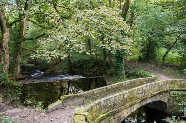 Most visitors have said this trail is 'excellent'. One review said: "A great place to go walking. Easy going and decent paths. Stepping stones for the brave."