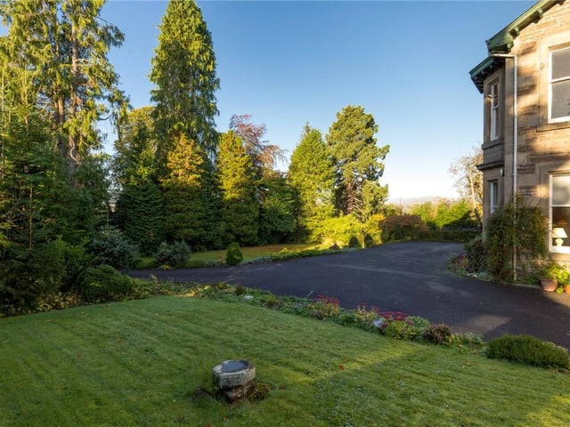 Front garden.