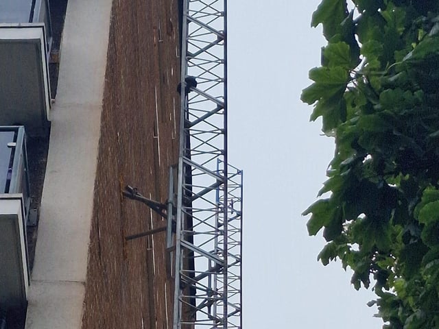 Murka can be seen on the metal framework