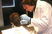 Dr Stephen Buckley examining a mummified skull
