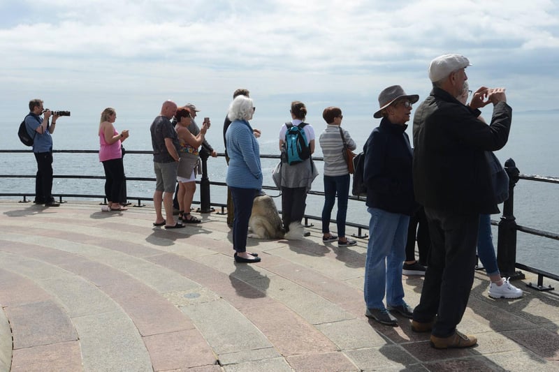 People gathered to experience seeing the marine animals in Roker.