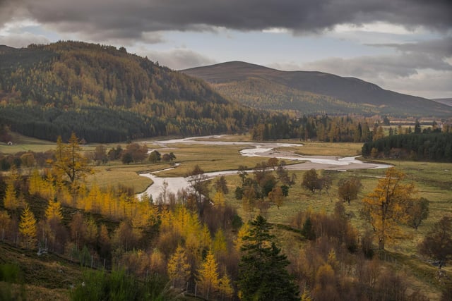 Just a couple of miles from Linn of Dee car park and you will find yourself surrounded by a glorious display of Scots pine and Douglas firs. Red squirrels may also be seen, and a roar of a stag might just be heard in the distance. PIC: Visit Scotland.