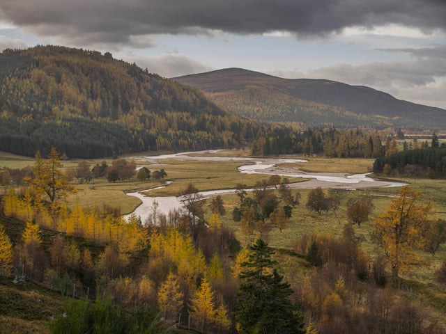 Just a couple of miles from Linn of Dee car park and you will find yourself surrounded by a glorious display of Scots pine and Douglas firs. Red squirrels may also be seen, and a roar of a stag might just be heard in the distance. PIC: Visit Scotland.