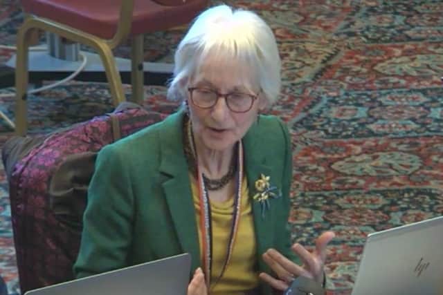 LibDem Coun Barbara Masters proposed a motion to the December meeting of Sheffield City Council, celebrating the city's diversity. Picture: Sheffield Council webcast