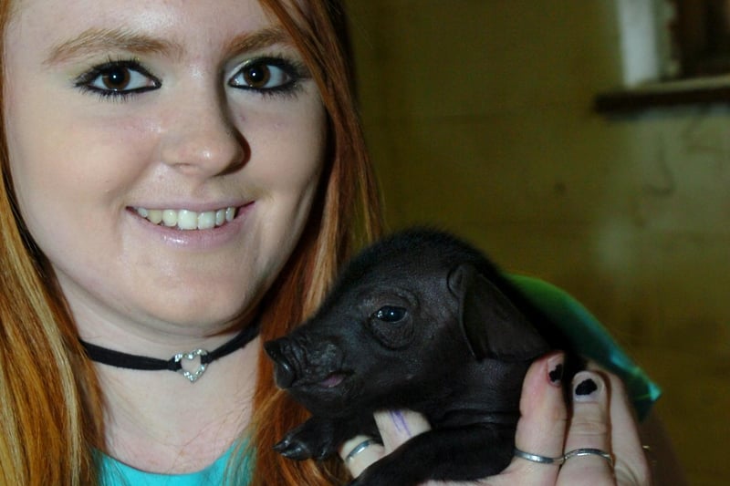 Rachel Gilbert (17) with one of the piglets born to Violet at Heeley City Farm in October 2007. Rachel was an animal management student at Castle College
