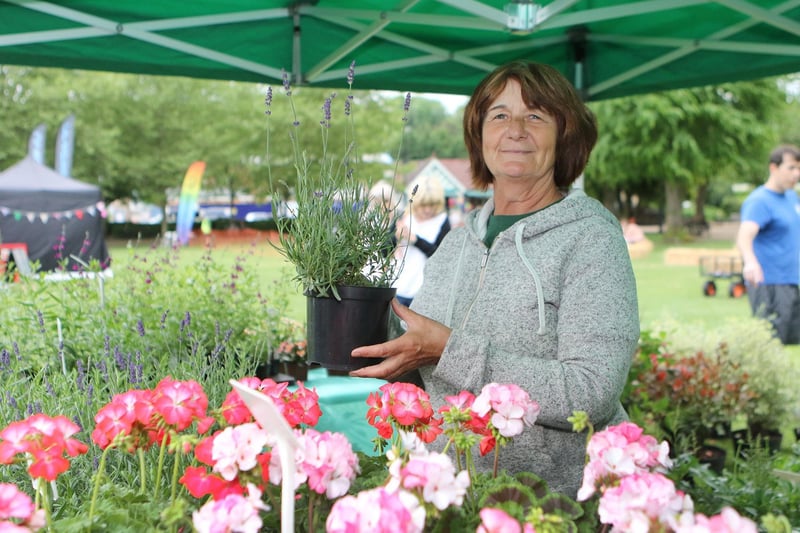Matlock food fair, local grower Alison Fletcher of Alison's plants