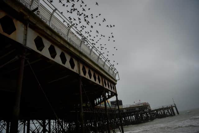 SOUTHSEA, ENGLAND - FEBRUARY 16: Birds take off from Southsea pier on Southsea beach on February 16, 2022. Picture: Finnbarr Webster/Getty Images