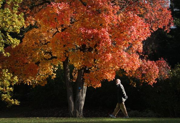 Treat yourself to a peaceful stroll through Berryhill Park this weekend and take in all the stunning Autumnal colours that will surround you.