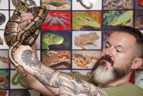 Charles Thompson with a royal python that was dumped in. Graves Park.Picture Scott Merrylees
