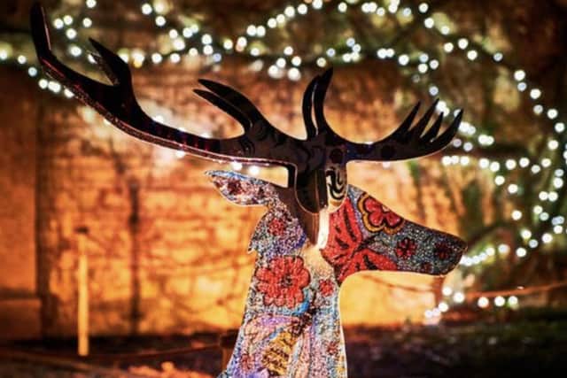 Families will be able to see new installations during this year's illuminated festive walk