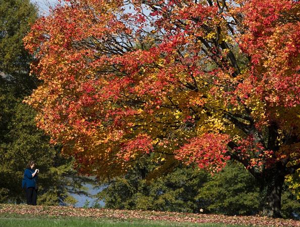 Take a camera and get some pictures of all the wildlife amongst the transitional beauty on display at Oakham Nature Reserve.