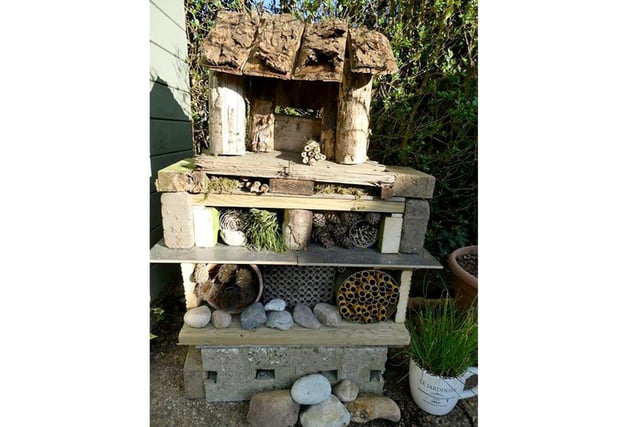 Gary and Lynne Saunders from Waterlooville will have all the insects in their garden this summer if this brilliant DIY bug hotel is anything to go by.