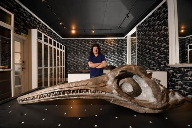 The Natural Sciences Museum, on Holme Lane, Sheffield, was set up by enthusiast James Hogg, and boasts a collection of fossils. James is pictured with a fossil of a Ichthyosaur thought to be 175 million years old. It is open everyday 10am - 4pm except Wednesday, but visitors must pre-book for midweek visits outside of School Holidays.