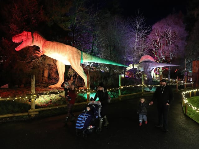 Visitors to Blair Drummond Safari Park near Stirling, Scotland, enjoy the illuminations installed in the Safari Park's new 'World of Dinosaur' exhibit.