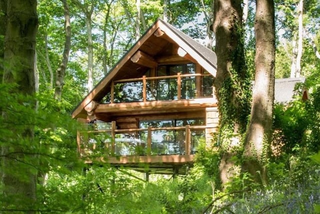 Swinney Wood, Crich Lane, Belper, DE56 2JH. Rating: 5/5 (based on 5 Google Reviews). "Stunning log cabin in lovely location on the edge of the Peak District."