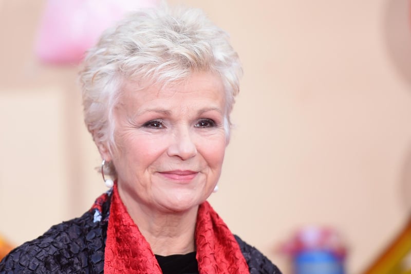 Powerhouse acctress Julie Walters has been in multiple franchises like Harry Potter, Mamma Mia, and also movies like Billy Elliot. She was born in Smethwick and has a net worth of £1.65m.