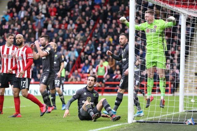 Dean Henderson of Sheffield United reacts after his remarkable triple save against Norwich: Nigel Roddis/Getty Images
