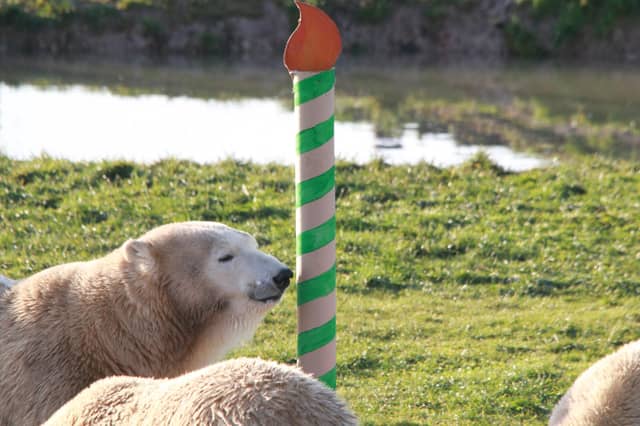 The cake candles were a little different than your standard ones