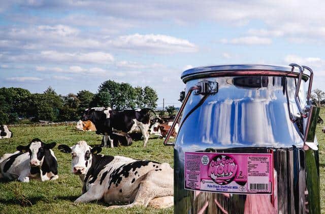 The carbon footprint of milk delivery to the University has been dramatically reduced by over 65 per cent - equivalent to 6.5 tonnes of CO2 every year.
