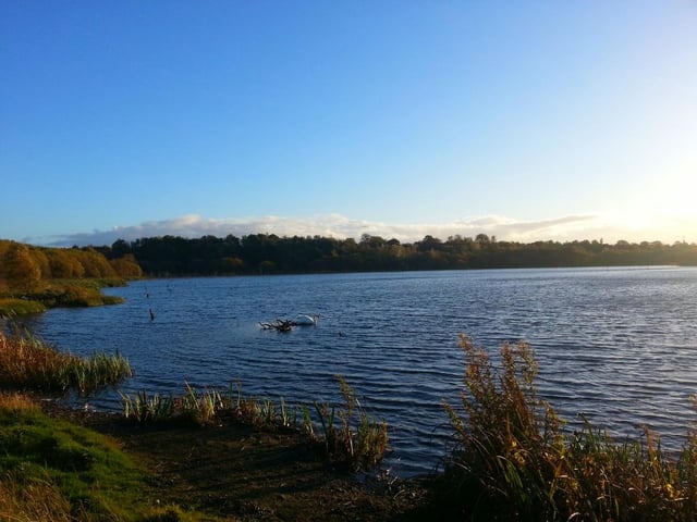 Sitting just north of Ruchazie, this hidden gem covers 120 acres of marshland, wet woodland and wildflower meadows.