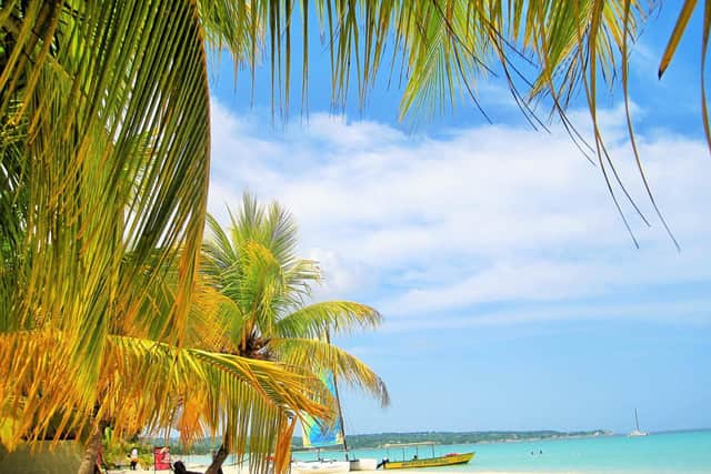 A beach in Jamaica.