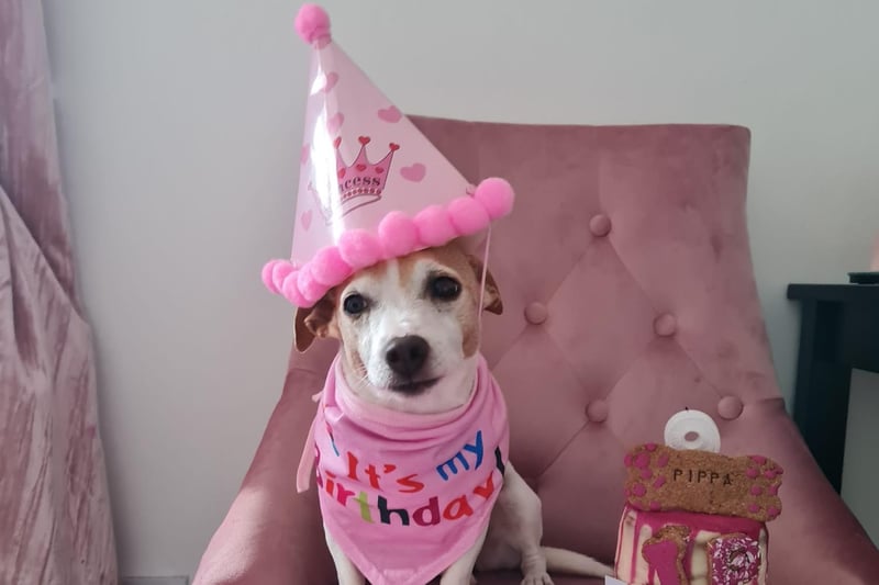 Pippa celebrates her ninth birthday in style.