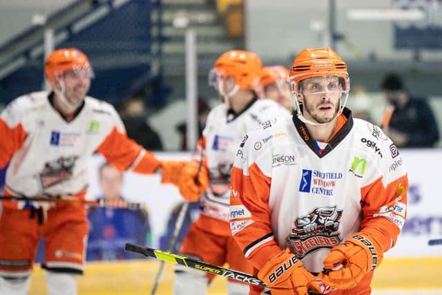 Martin Latal has welcomed the arrival of his fellow Czech to Sheffield Steelers