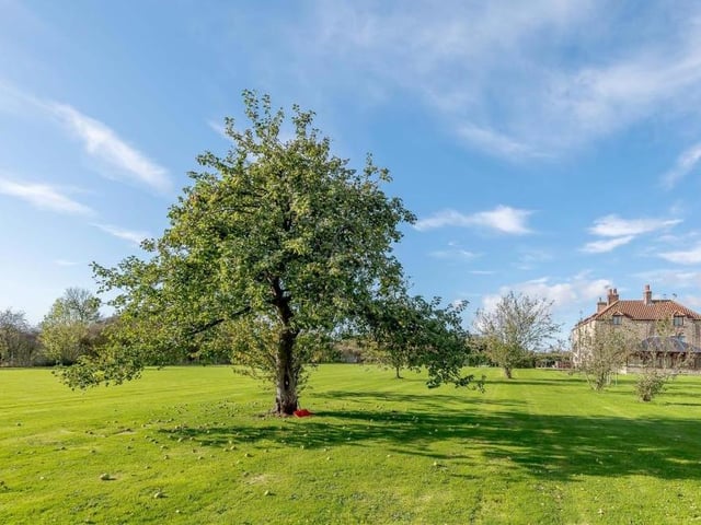 A scene so beautiful, it could surely be from a painting. It shows just one of many fruit trees that adorn the garden.