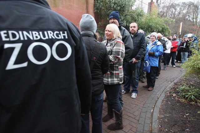 Members of the public queue to view the panda bears at Edinburgh Zoo on December 16, 2011 in Edinburgh, Scotland. The eight-year-old pair of giant pandas arrived on a specially chartered flight from China over a week ago and are the first to live in the UK for 17 years. Edinburgh zoo are hopeful that the pandas will give birth to cubs during their stay in Scotland.