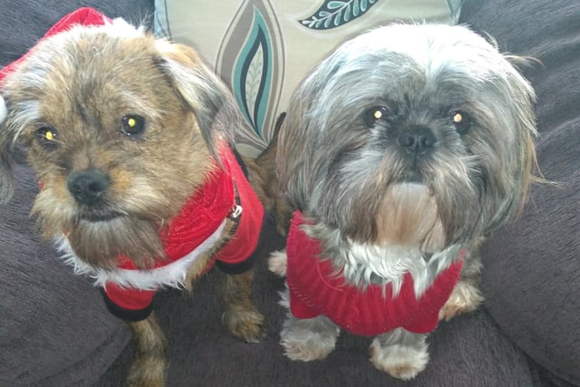 Ben and Ruby pose for a picture in their festive jumpers.