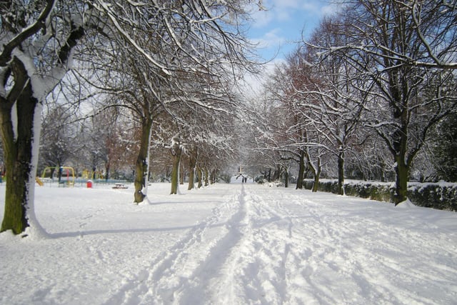 A snowy scene in Elmfield Park in December 2010