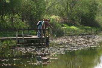 There's plenty of places to visit right on the doorstep