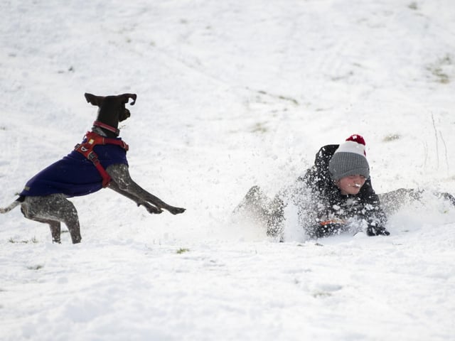 A dog gives chase to Thomas Clark on his sledge at The Braids