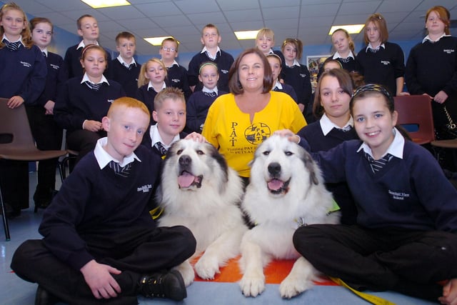 Ann Miller from 'Pets As Therapy' brought her stunning pets Brecon and Kendal to Sandhill View School in 2009. Did you get to meet them?