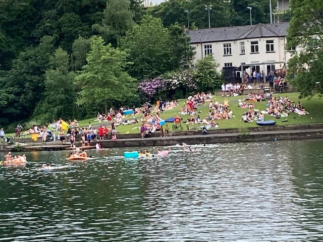 Swimmers at Crookes Valley Park (pic: Emma Wass)