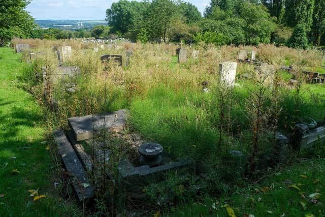 Overgrown graves in Shiregreen Cemetery