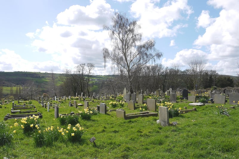 Daffodils at Loxley Cemetery by Mark Pickering