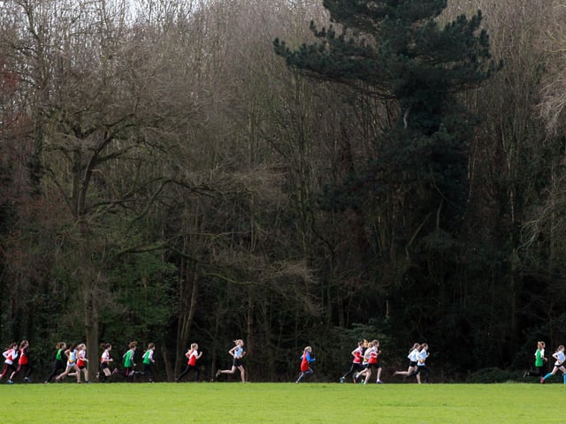Campsall Country Park is set in the former pleasure grounds of Campsall Hall set out in Brownian style. Covering 41 hectares the park has an abundance of habitats to explore, numerous plantations, naturalised wildflower areas, open grassland and lakes.
