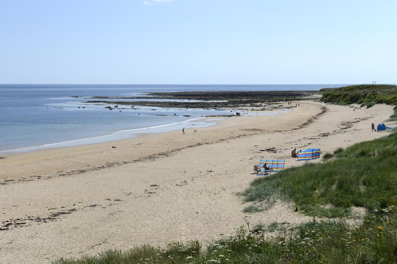 Sugar Sands is a secluded beach between Boulmer and Howick. It’s a trek to get there, but is well-worth the walk.