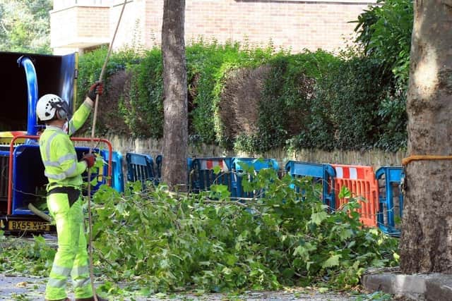 Sheffield City Council faced huge opposition to its plan to remove thousands of street trees as part of a Streets Ahead contract with contractor Amey