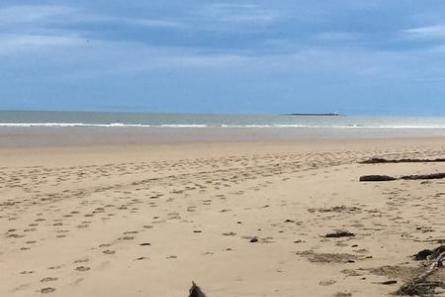 Warkworth is the number four rated dog-friendly beach. Picture: Kirsty Logan