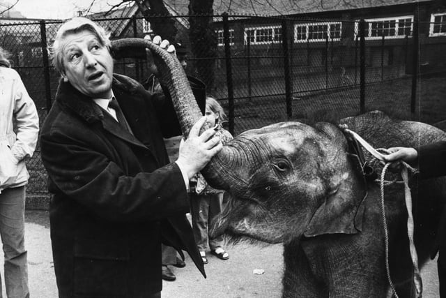 Anne Clayton said she wants to see Animal Magic back on TV - she loved presenter Johnny Morris.